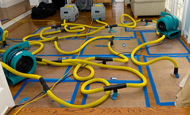 Professional Sewage Cleanup technician working in East Moriches, NY